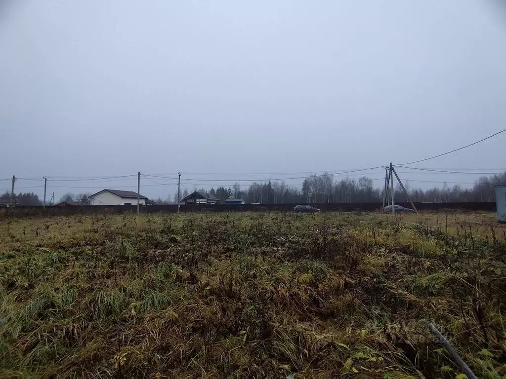 Участок в Ленинградская область, Тосненский район, Федоровское ... - Фото 2