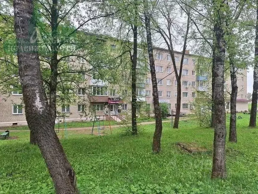 Торговая площадь в Смоленская область, Рославль ул. Карла Маркса, 3 ... - Фото 2