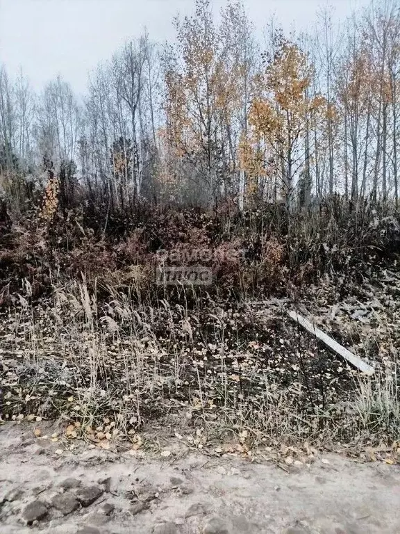 Участок в Иркутская область, Иркутский муниципальный округ, с. ... - Фото 2