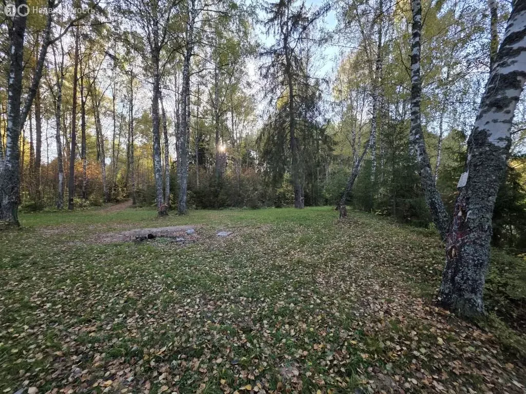 Участок в Нижегородская область, муниципальный округ Чкаловск, село ... - Фото 2
