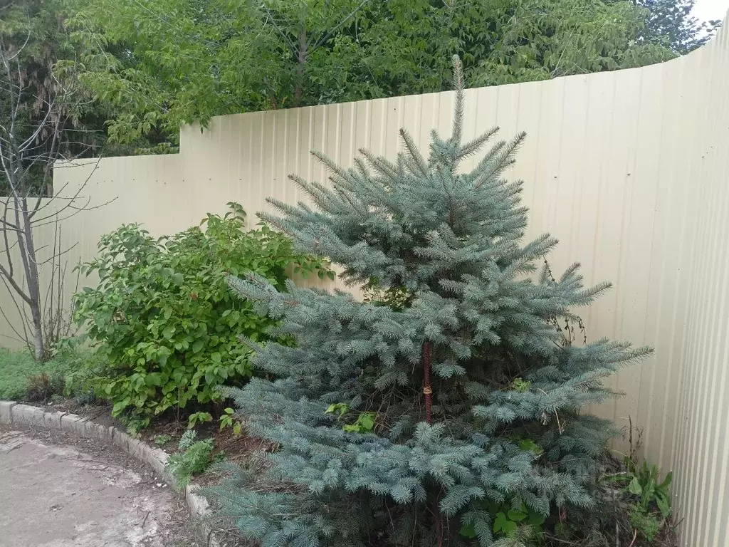 Дом в Оренбургская область, Оренбург Металлист СНТ, ул. Ранетная (16 ... - Фото 1