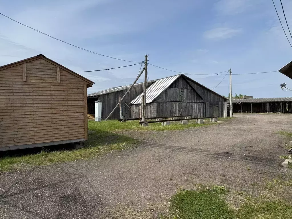 Участок в Ленинградская область, Кингисеппский район, Опольевское ... - Фото 1