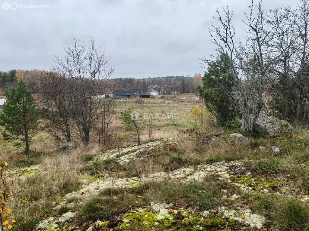 Участок в Приозерский район, Мельниковское сельское поселение, деревня ... - Фото 1