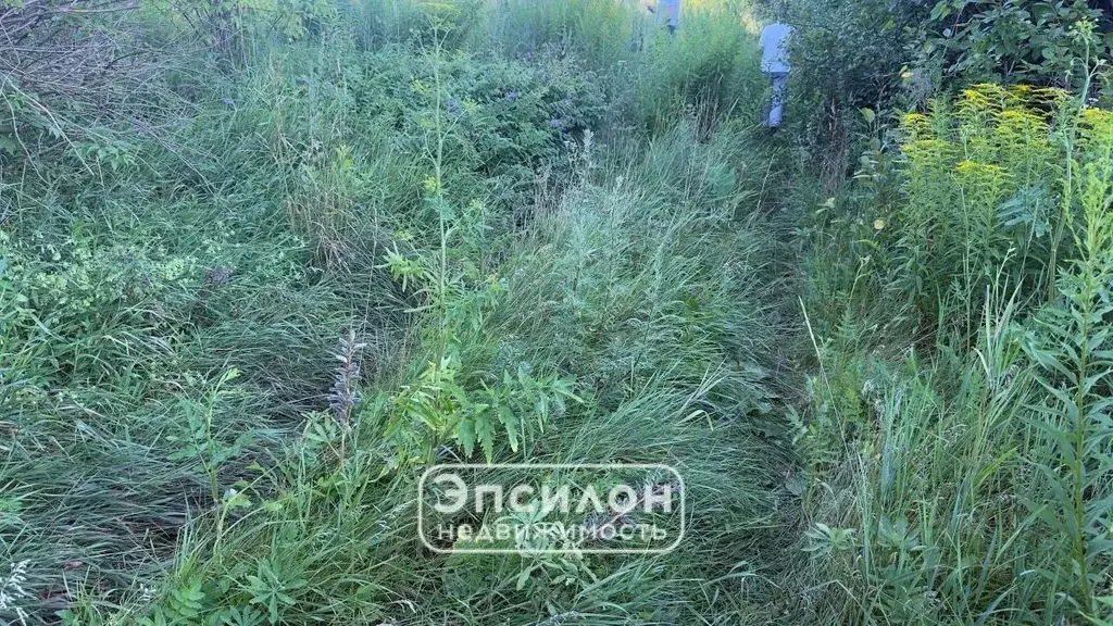Участок в Курская область, Курский район, Камышинский сельсовет, ... - Фото 1