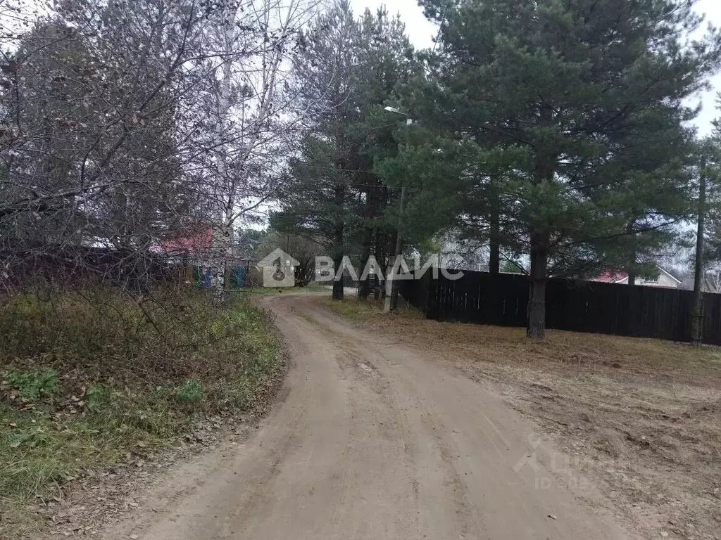 Участок в Нижегородская область, Бор городской округ, д. Рябинки ул. ... - Фото 1