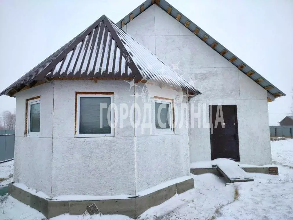 Дом в Омская область, Омский район, с. Андреевка  (97 м) - Фото 2