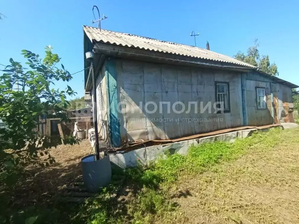 Дом в Амурская область, Белогорск ул. Добролюбова, 11 (46 м) - Фото 1