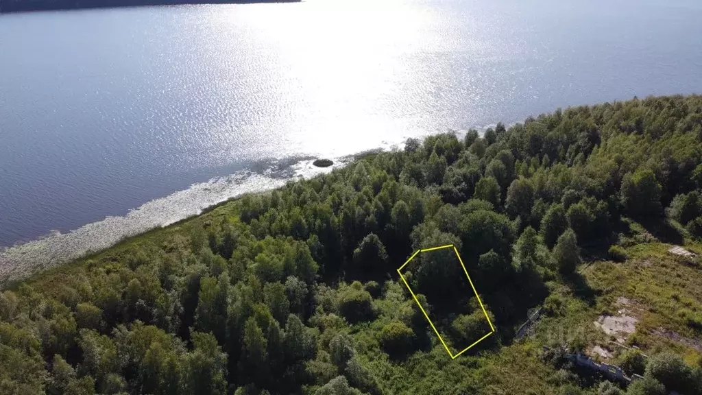 Участок в Карелия, Сортавальский муниципальный округ, пос. Пуйккола  ... - Фото 1