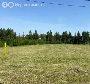 Участок в Каменное, коттеджный посёлок Зеленодолье, Златая улица, 46 ... - Фото 1