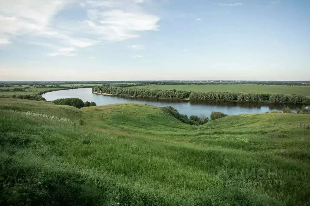 Дом в Московская область, Луховицы городской округ, д. Перевицкий ... - Фото 0