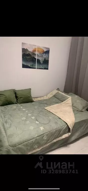 Студия Московская область, Химки городской округ, д. Рузино, ... - Фото 2