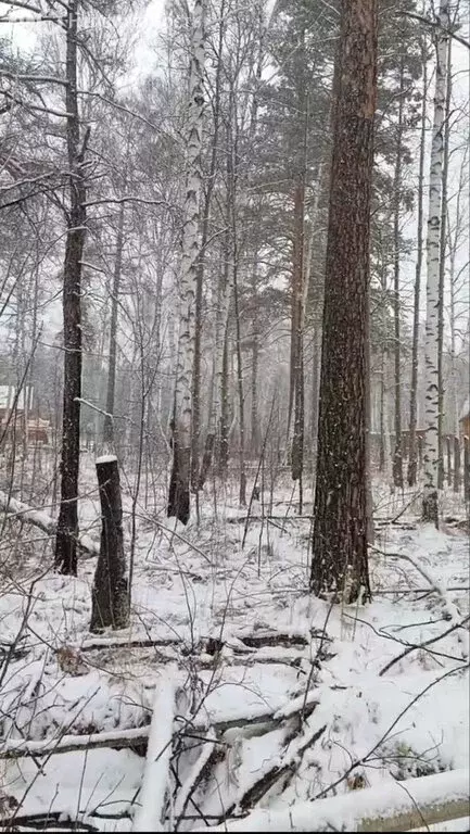 Участок в посёлок Плишкино, Подгорная улица (16 м) - Фото 1