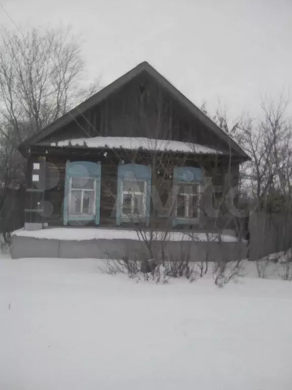Быковка саратовская область. Погода в малой быковке балаковского. Малая быковка фото. Погода в малой быковке балаковского. Погода в малой быковке балаковского.