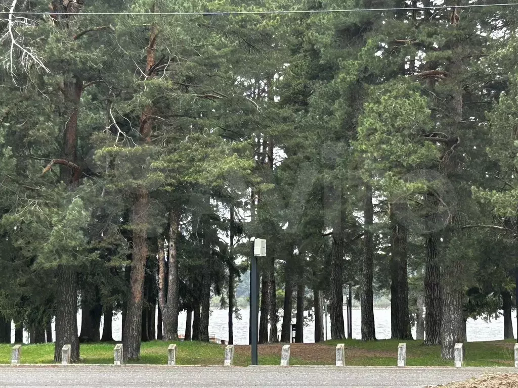 Офис - Фото 1