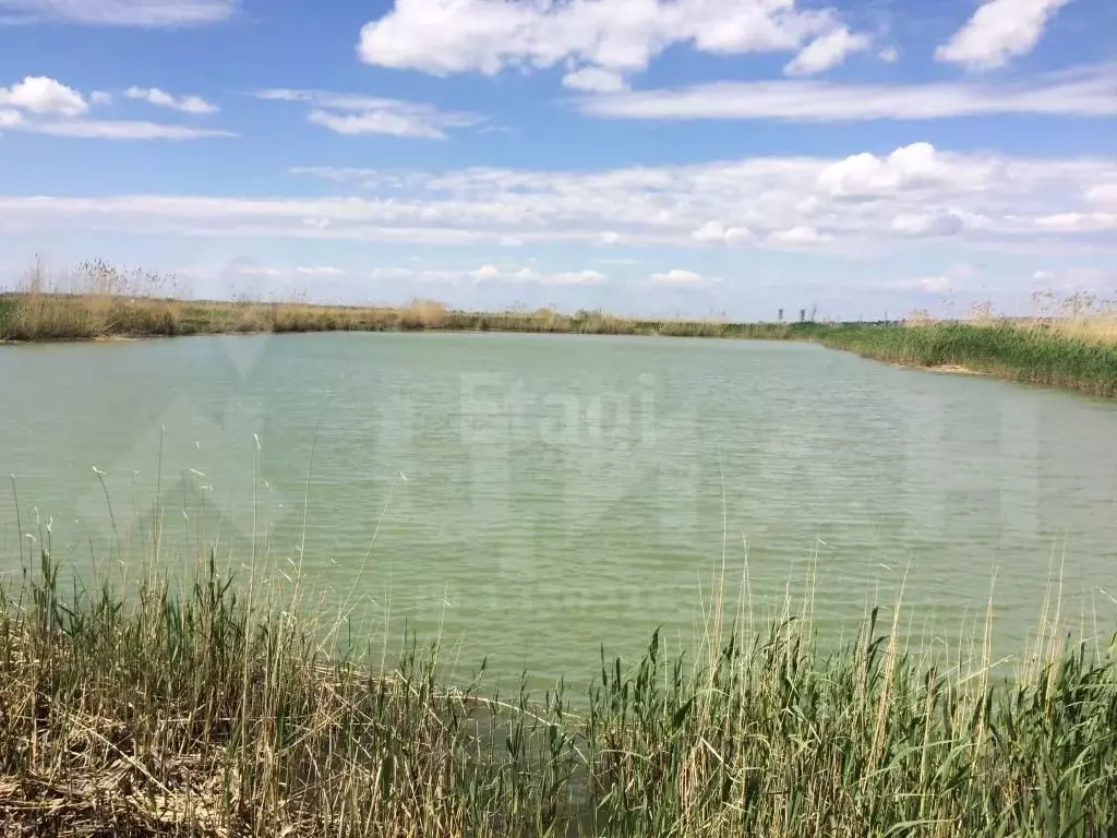 Береславка волгоградская. Береславское водохранилище Волгоградская область. Береславка Волгоградская область река. Береславка водохранилище. Береславка природа.