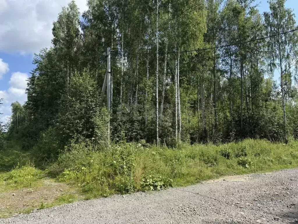 Участок в Вологодская область, Череповец ул. Жемчужная (8.0 сот.) - Фото 0
