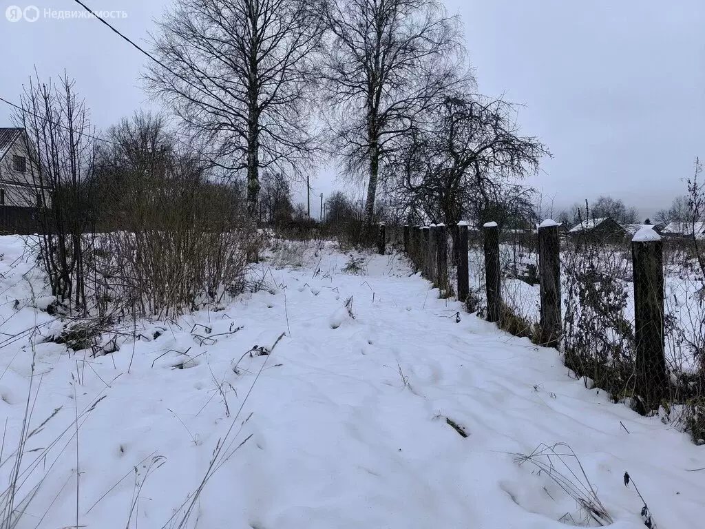 Участок в Вындиноостровское сельское поселение, деревня Морозово, ... - Фото 2