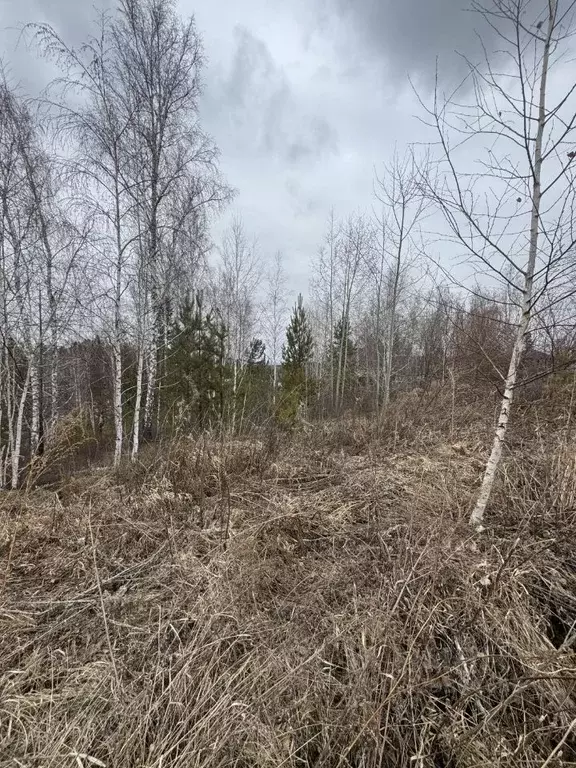 Участок в Иркутская область, Иркутский муниципальный округ, с. Мамоны ... - Фото 1