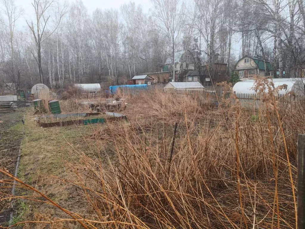 Участок в Новосибирская область, Новосибирск Заречный СНТ,  (3.6 сот.) - Фото 0