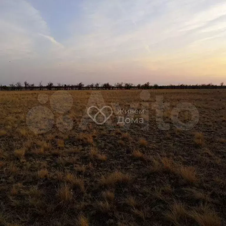 Участок 8,3 сот. (ИЖС) - Фото 1