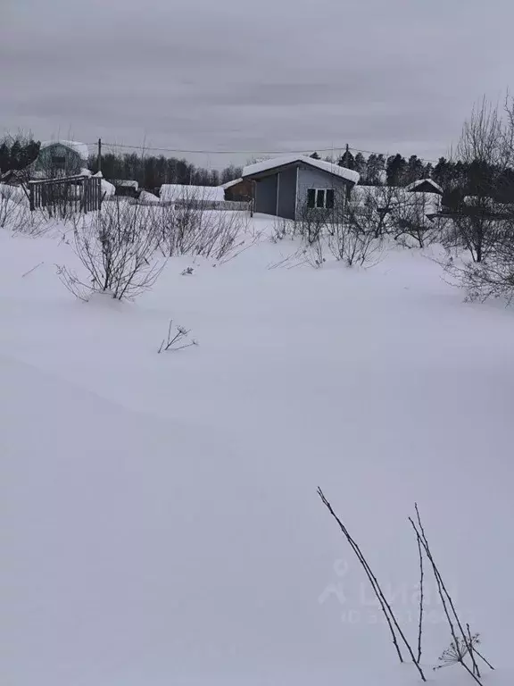 Участок в Марий Эл, Медведевский район, Сидоровское с/пос, Новотроицк ... - Фото 1