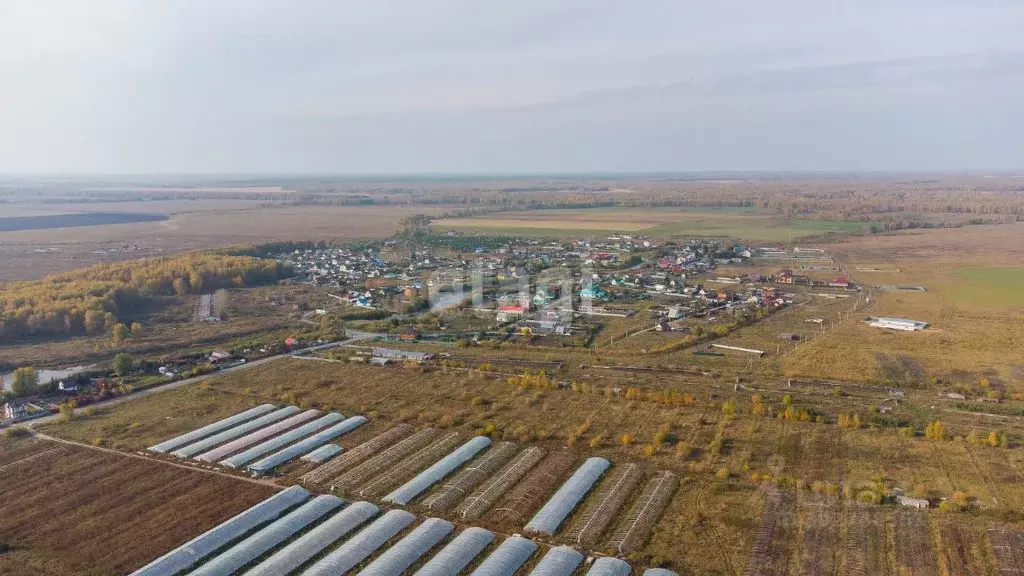 Участок в Тюменская область, Тюменский район, д. Елань  (8.0 сот.) - Фото 1