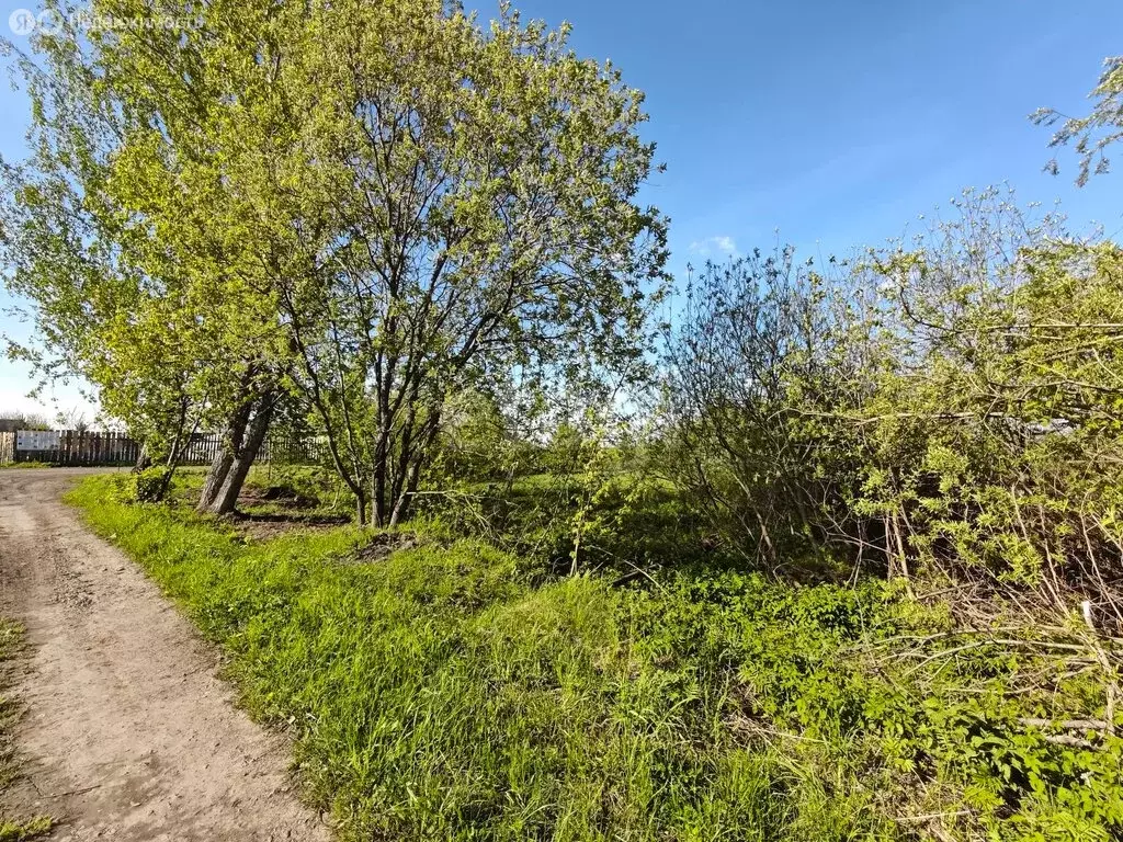 Участок в Новокузнецк, СНТ Зеленчиха (14.62 м) - Фото 2