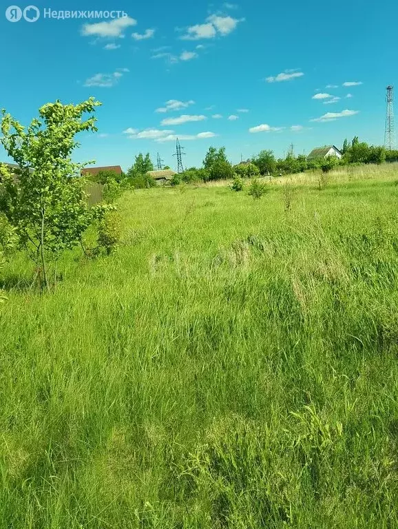 Участок в село Чигорак, Центральная улица (30 м) - Фото 1