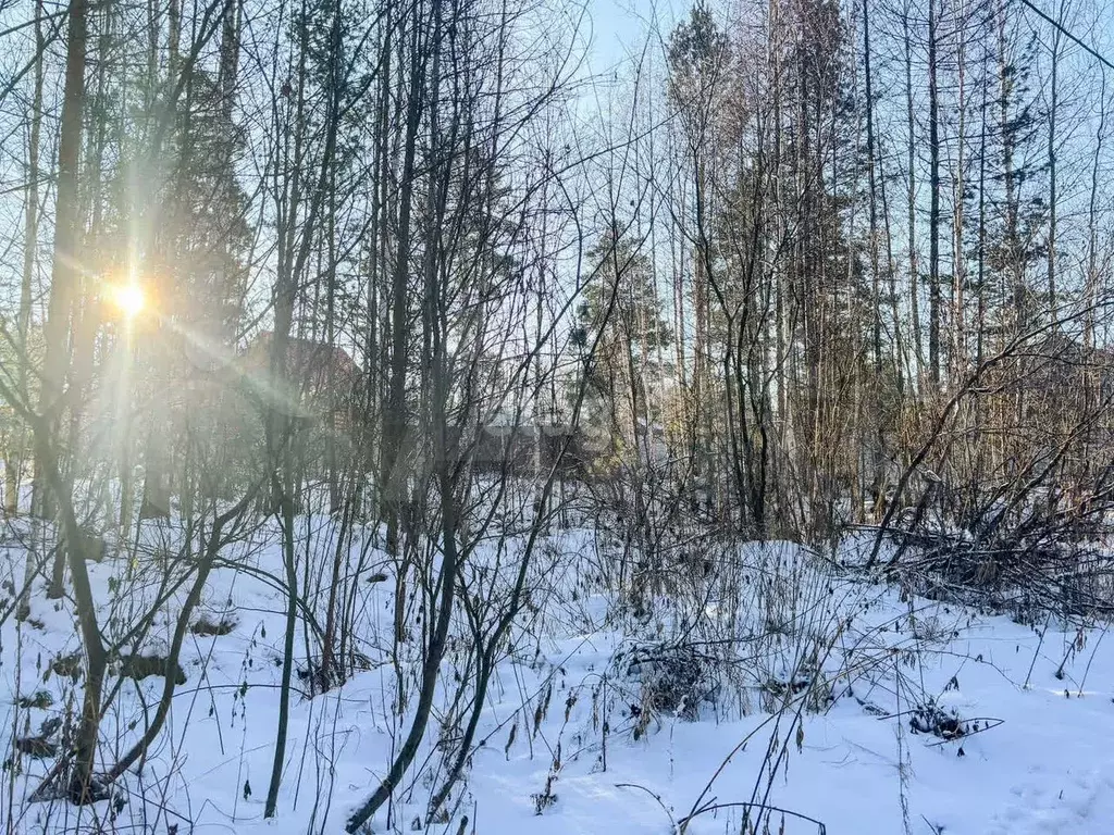 Участок 13,3 сот. (ИЖС) - Фото 1