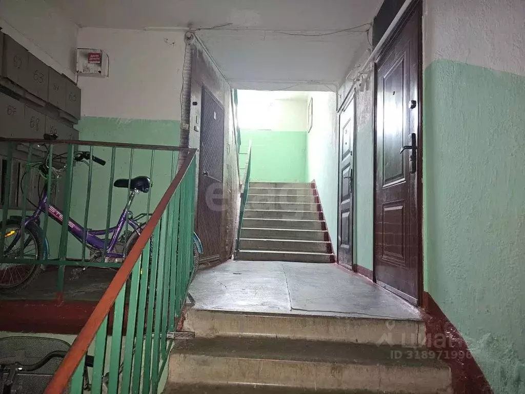 3-к кв. Псковская область, Остров ул. Апакидзе, 6 (64.7 м) - Фото 1