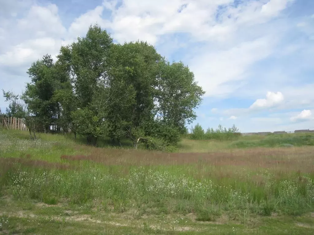 Участок в Рязанская область, Спасский район, Панинское с/пос, с. ... - Фото 1