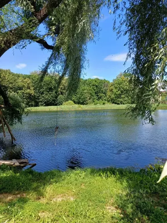 Дом в Нижегородская область, Богородский муниципальный округ, с. ... - Фото 0