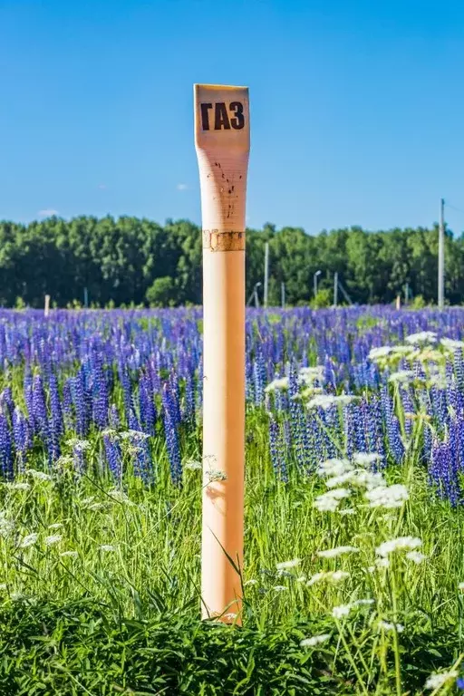 Участок в Владимирская область, Петушинское муниципальное образование, ... - Фото 2