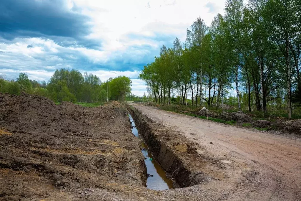 Участок в Ленинградская область, Всеволожск Щегловское Раздолье кп,  ... - Фото 0
