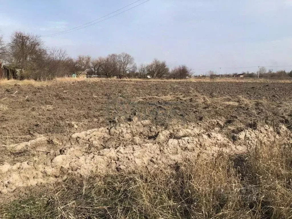 Участок в Ростовская область, Аксайский район, Верхнеподпольненское ... - Фото 1