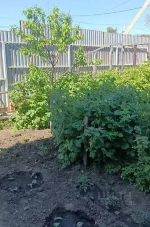 Дом в Саратовская область, Саратов проезд Большой Динамовский, 14 (143 ... - Фото 1