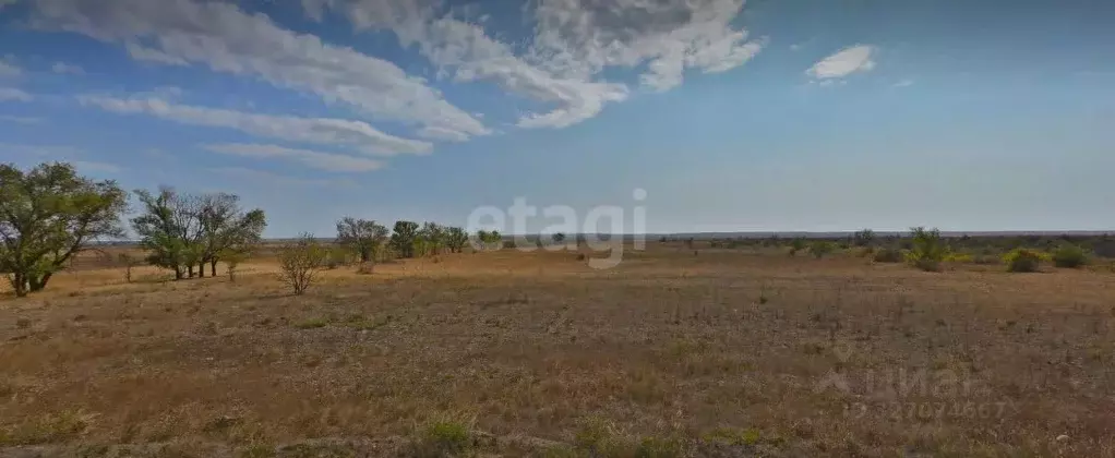 Участок в Крым, Черноморский район, с. Новосельское  (750.0 сот.) - Фото 1