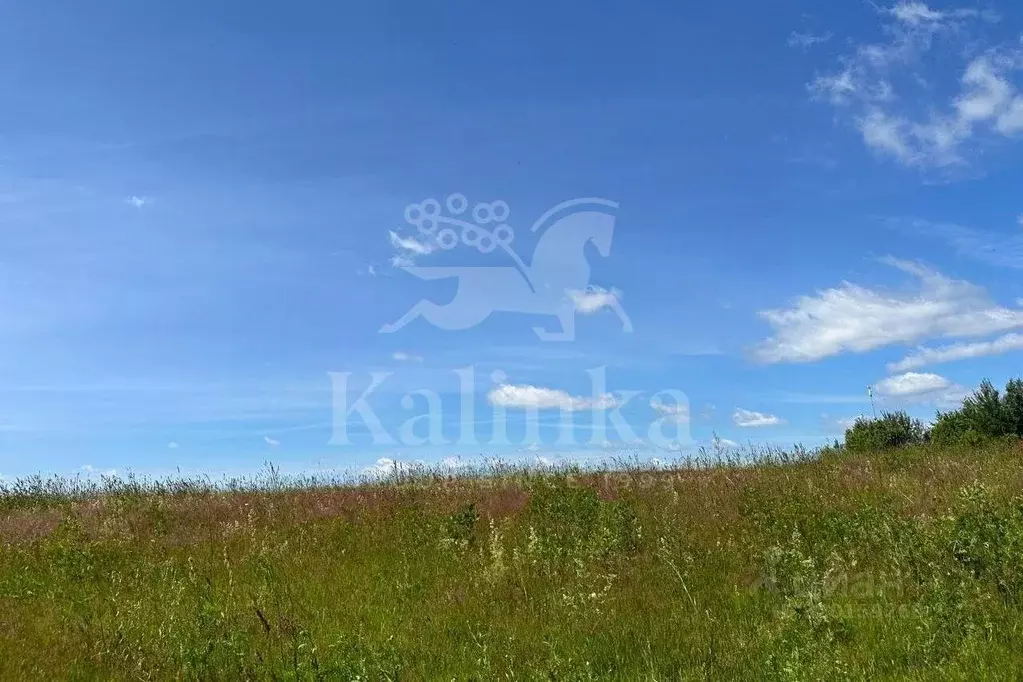 Участок в Московская область, Одинцовский городской округ, Мэдисон ... - Фото 1