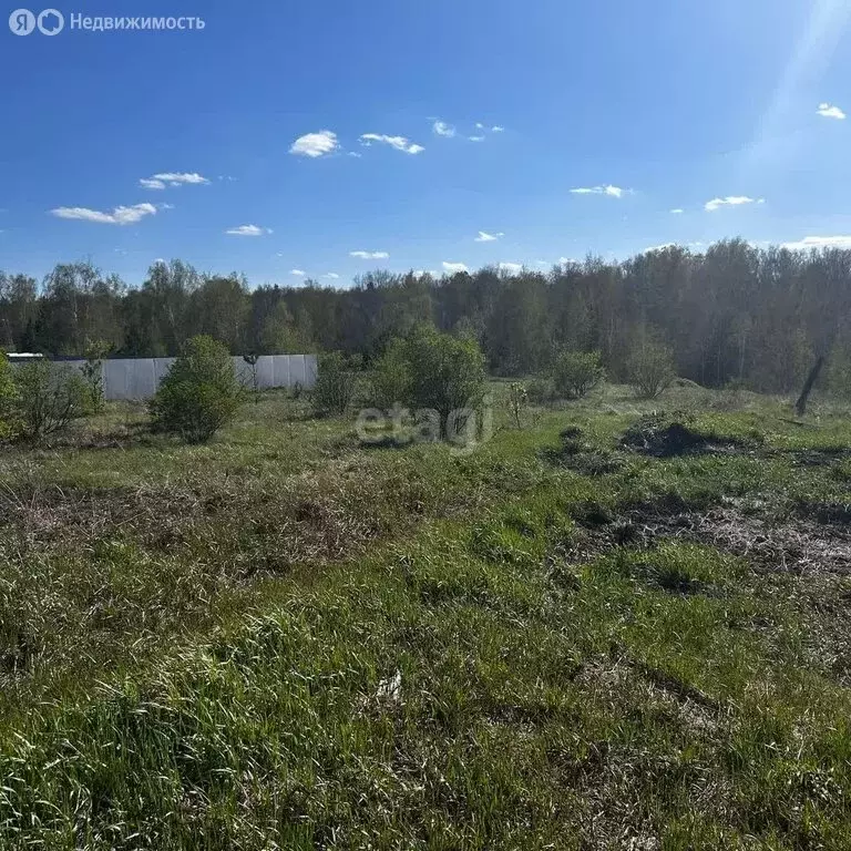 Участок в Обуховское сельское поселение, село Шилкинское, улица Ленина ... - Фото 2