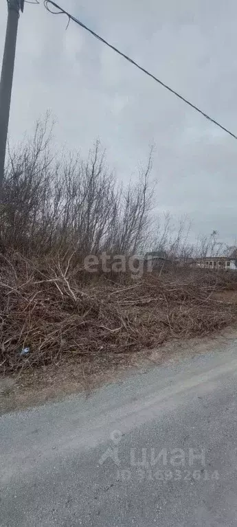 Участок в Белгородская область, Старый Оскол Фиалка садовые участки,  ... - Фото 0