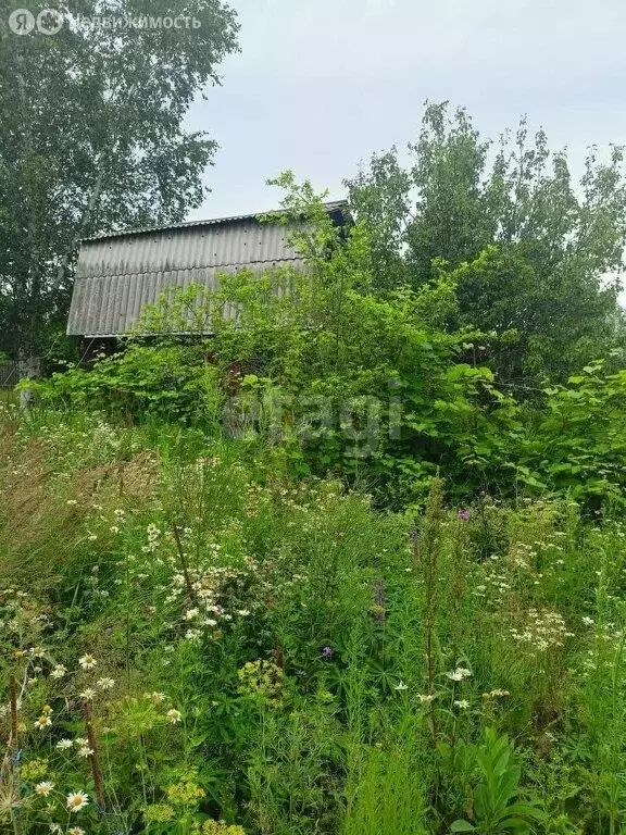 Дом в село Пивань, садовое товарищество ЭТУ Связи, Вознесеновская ... - Фото 0