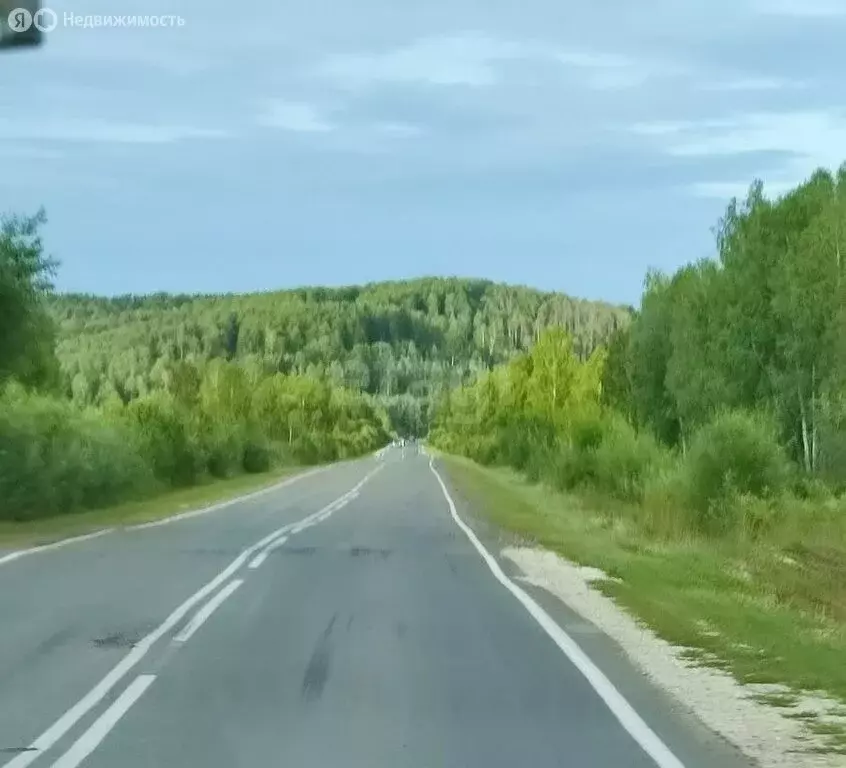 Участок в село Артыбаш, Береговая улица (145 м) - Фото 0