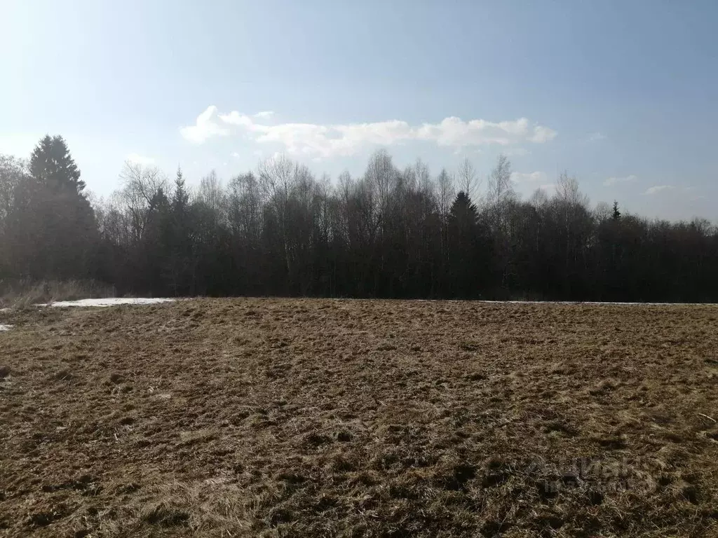 Участок в Владимирская область, Александровский район, ... - Фото 1