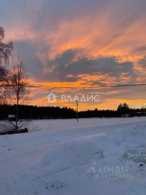 Участок в Нижегородская область, Нижний Новгород д. Старые Ключищи, 80 ... - Фото 1