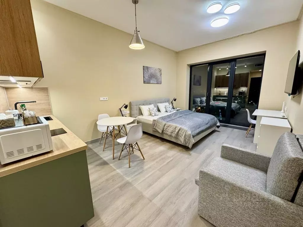 Студия Санкт-Петербург наб. Макарова, 58с2 (30.0 м) - Фото 0