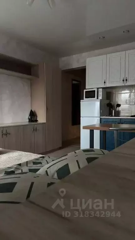 1-к кв. Иркутская область, Иркутск ул. 4-я Железнодорожная, 57 (18.0 ... - Фото 0