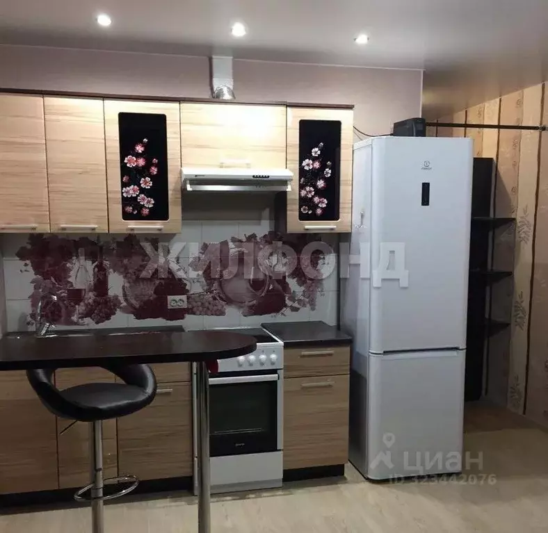 1-к кв. Новосибирская область, Новосибирск ул. Фадеева, 66/5 (23.1 м) - Фото 0