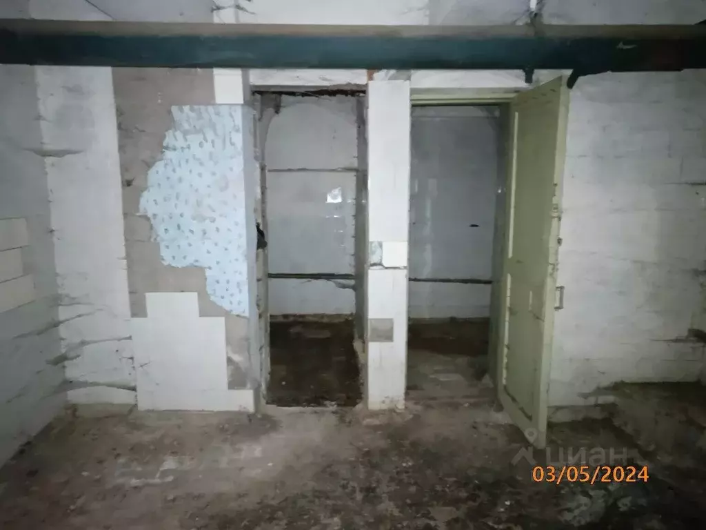 Помещение свободного назначения в Нижегородская область, Нижний ... - Фото 1