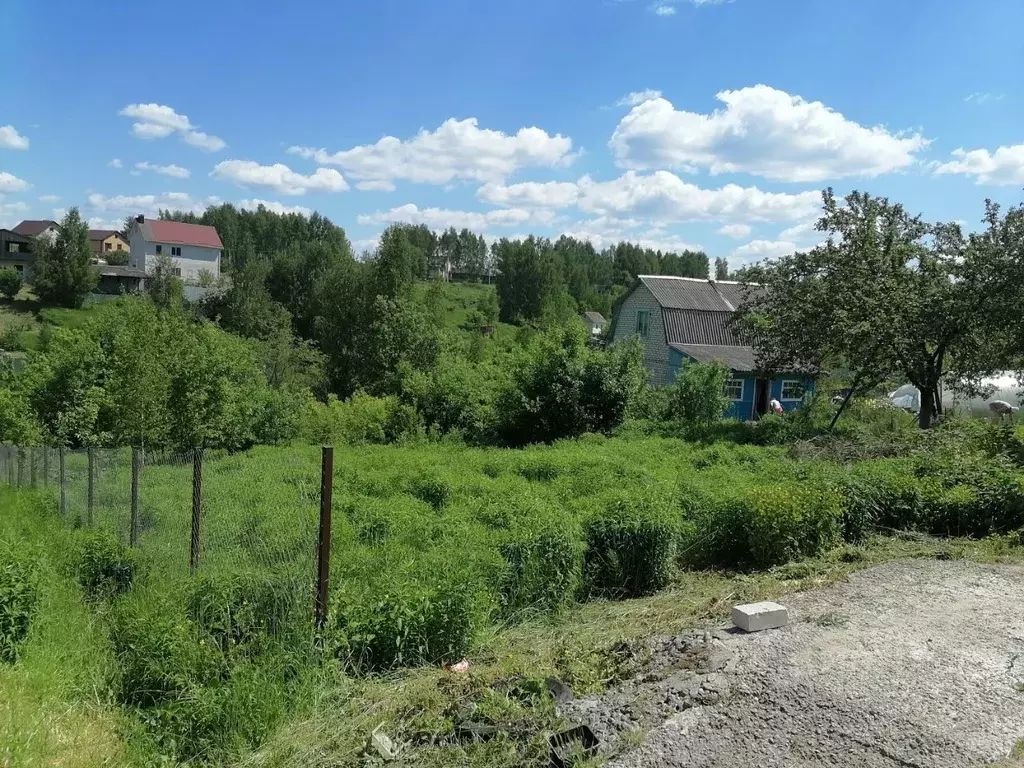 Участок в Брянская область, Брянск Буревестник садовое общество, 3 ... - Фото 1
