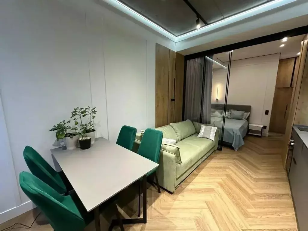 1-к кв. Краснодарский край, Сочи Виноградная ул., 195/1 (26.0 м) - Фото 1